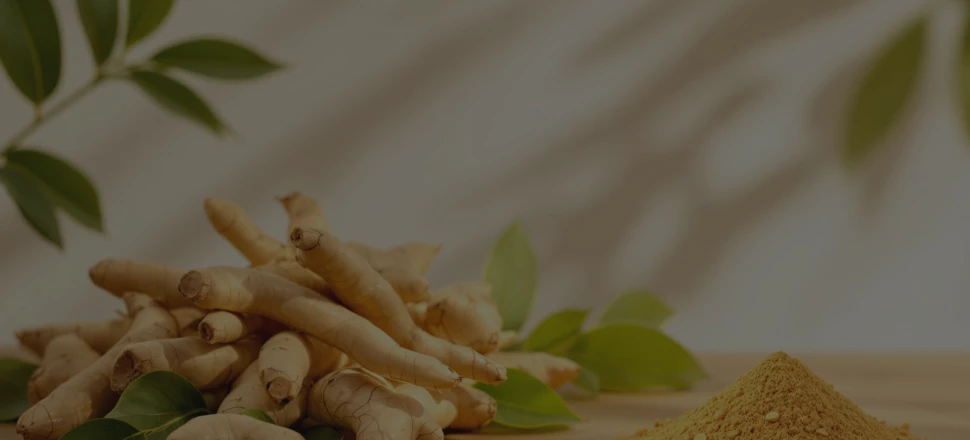 Ashwagandha : bienfaits, propriétés et usages