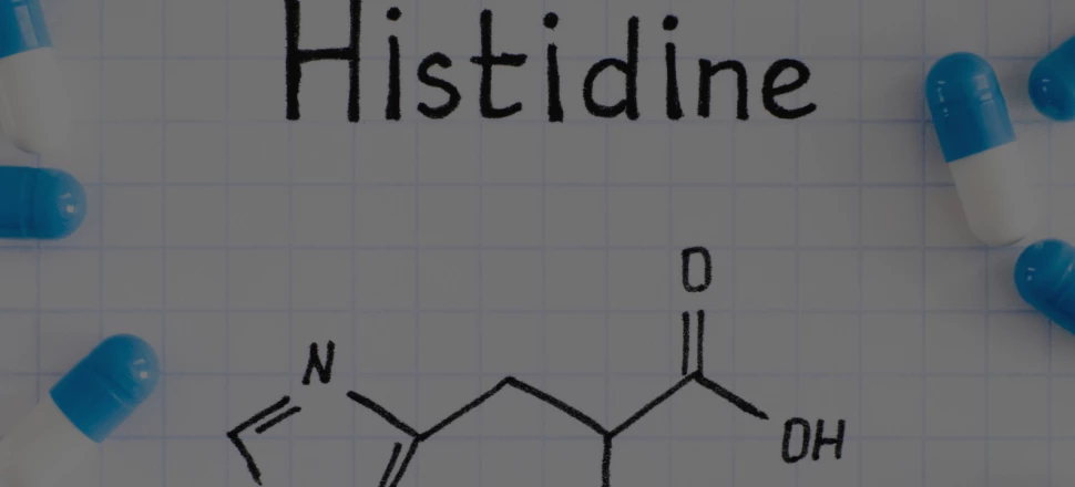 Histidine: Quels sont les bienfaits de cet acide aminé