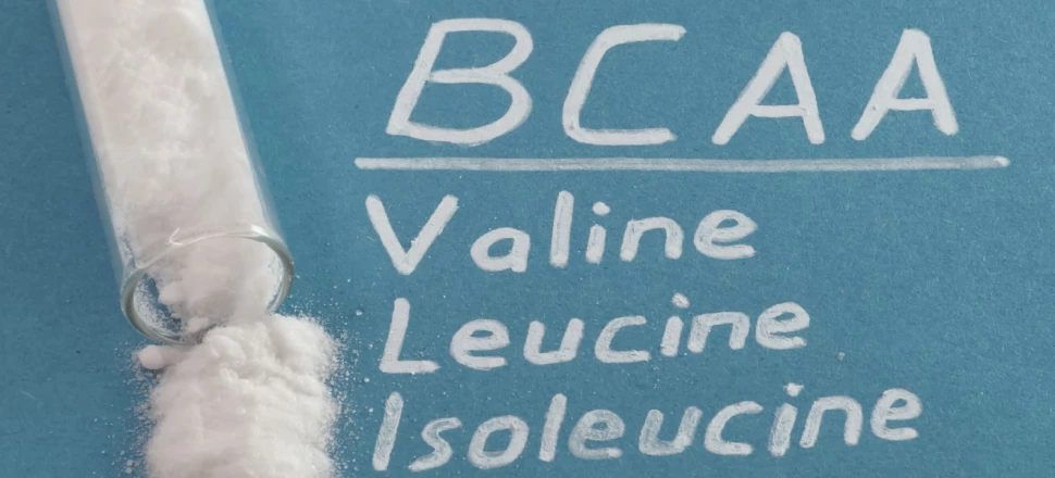 Isoleucine : Bienfaits de cet acide aminé (BCAA)