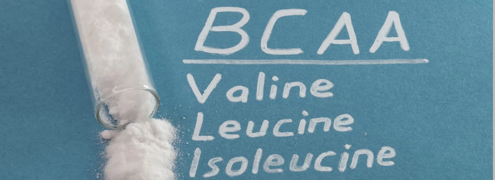 Isoleucine : Bienfaits de cet acide aminé (BCAA)