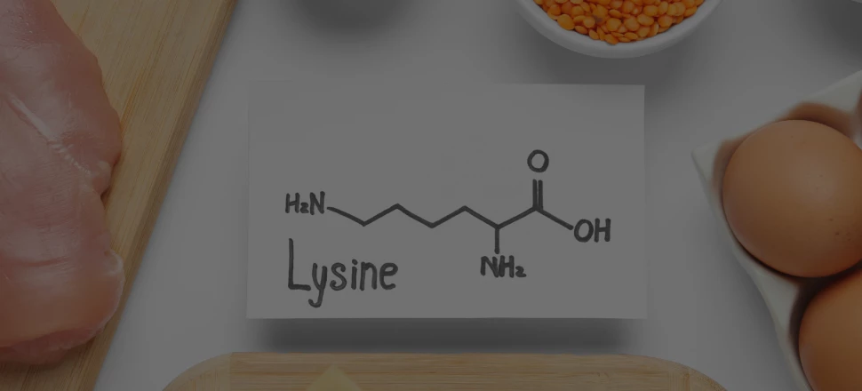 Lysine : Quels sont les bienfaits de cet acide aminé