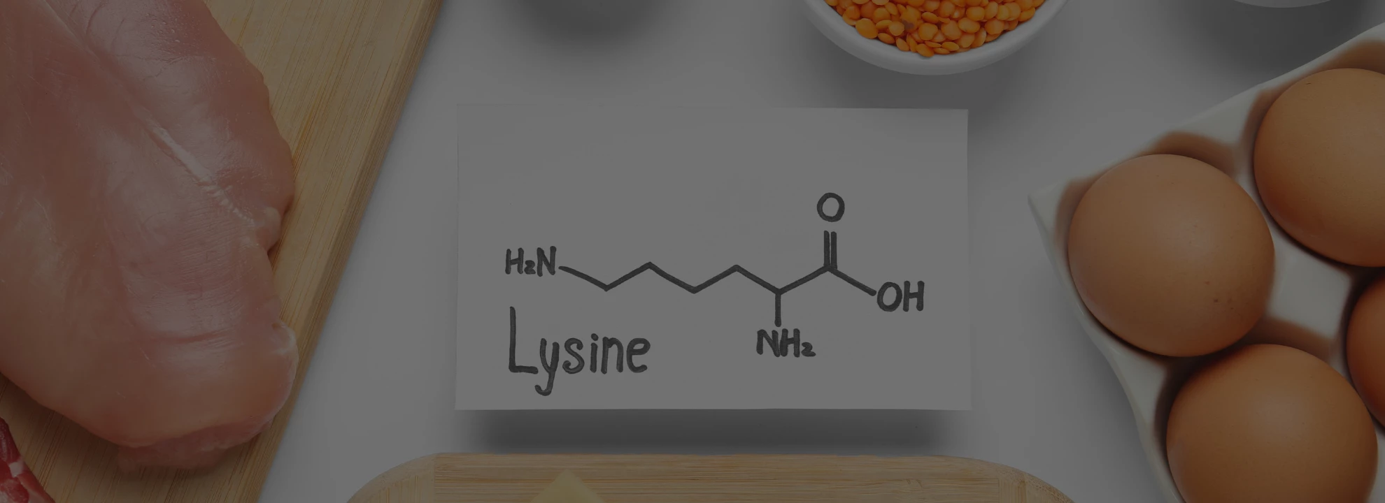 Lysine : Quels sont les bienfaits de cet acide aminé