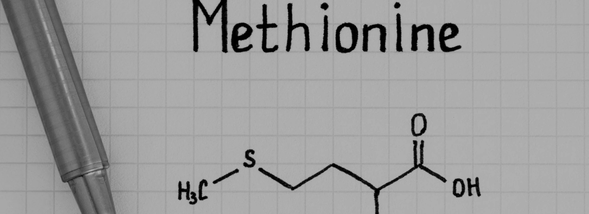 Méthionine : Quels sont les bienfaits de cet acide aminé