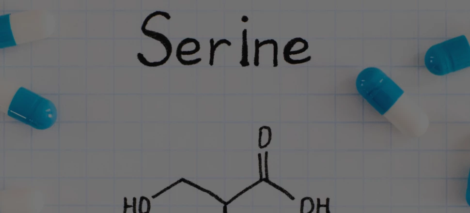 Sérine : Quels sont les bienfaits de cet acide aminé ?