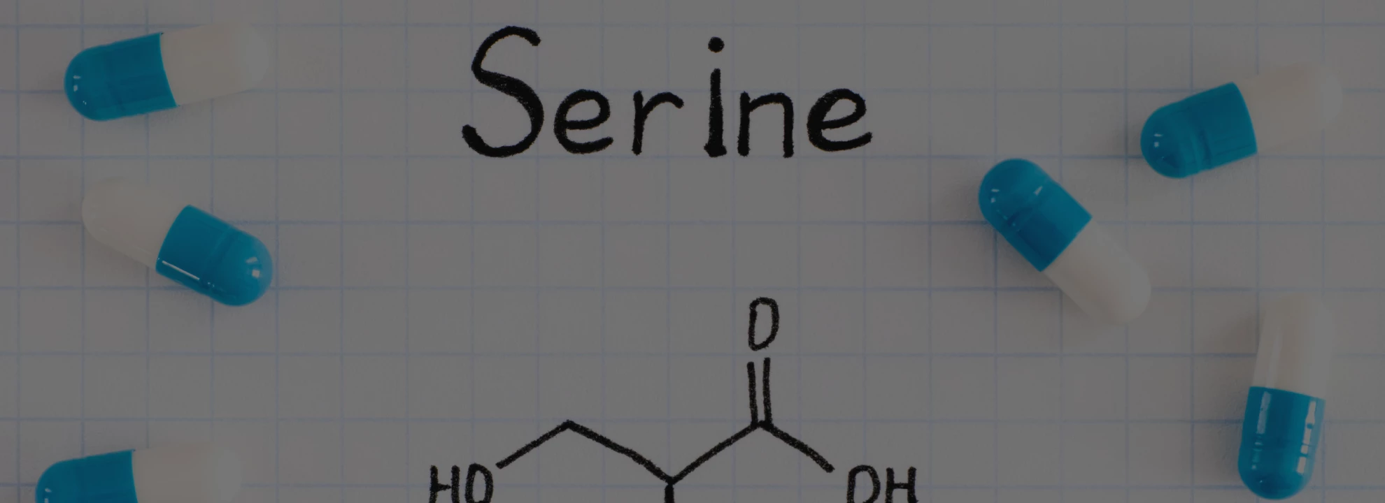 Sérine : Quels sont les bienfaits de cet acide aminé ?