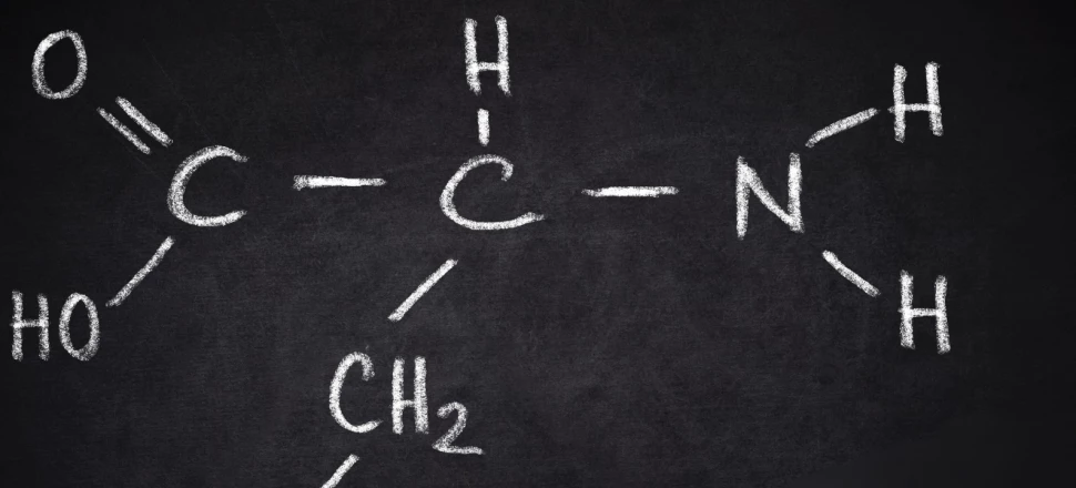 Tryptophane: Quels sont les bienfaits de cet acide aminé