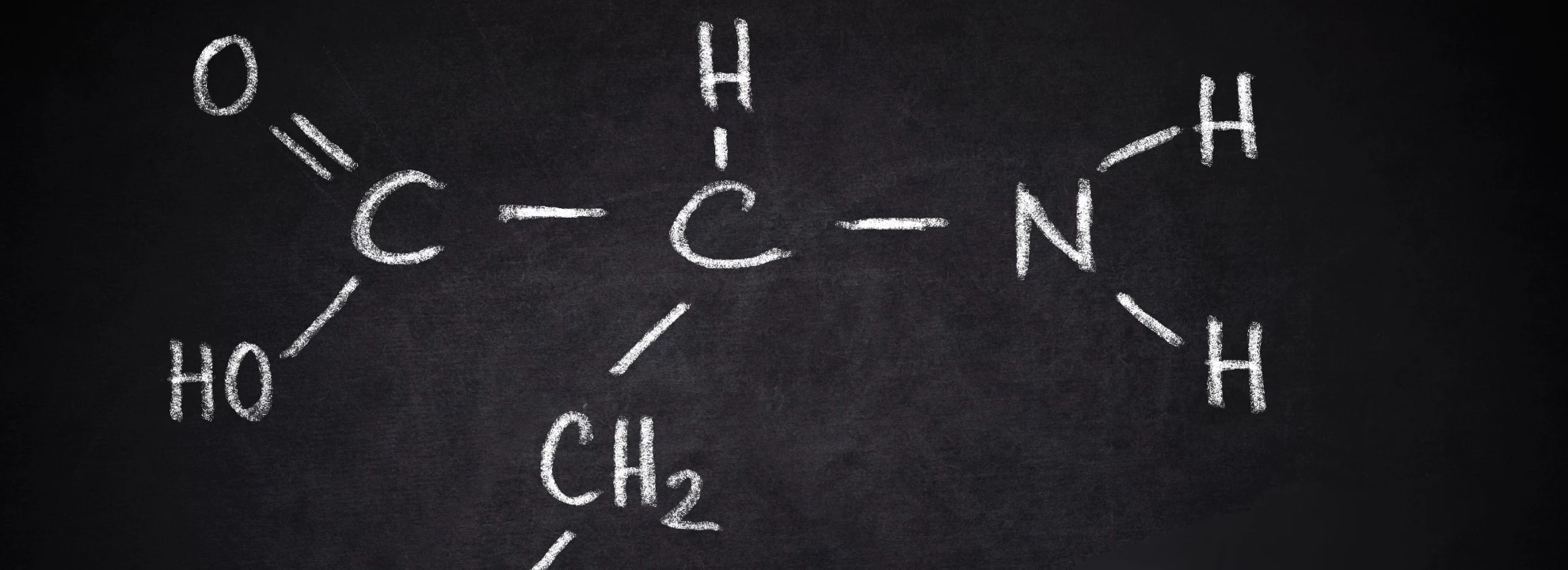 Tryptophane: Quels sont les bienfaits de cet acide aminé