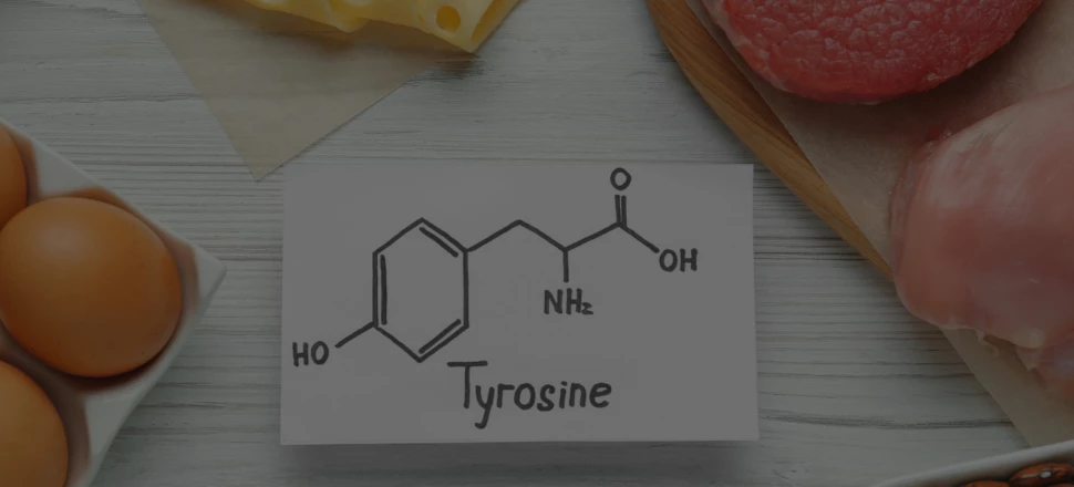 Tyrosine  : Quels sont les bienfaits de cet acide aminé ?