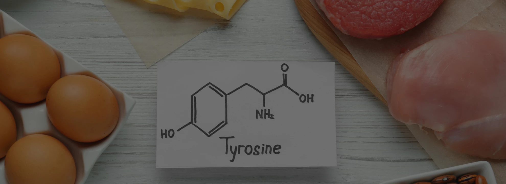 Tyrosine  : Quels sont les bienfaits de cet acide aminé ?