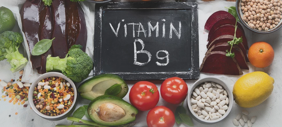 Vitamine B9 ou acide folique : Rôle et bienfaits pour la musculation