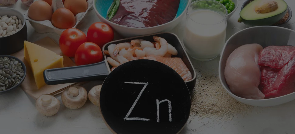 Zinc : Rôle et bienfaits pour la musculation